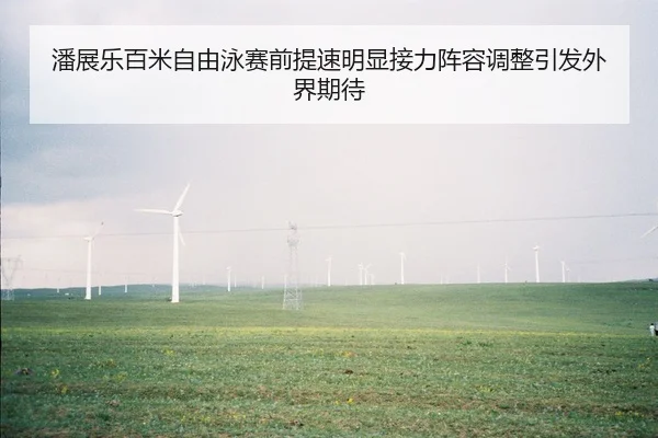 潘展乐百米自由泳赛前提速明显接力阵容调整引发外界期待